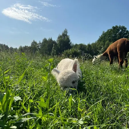 Hébergement de vacances Zacisze Dom Comfort 70m2 *