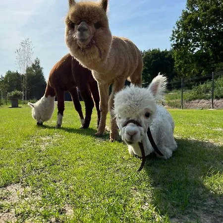 Hébergement de vacances Zacisze Dom Comfort 70m2 *