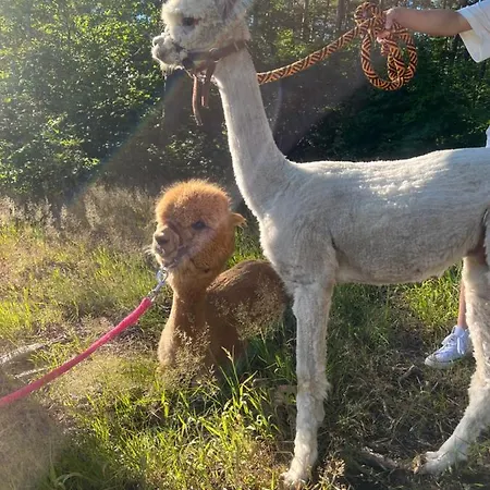 Zacisze Dom Comfort 70m2 *