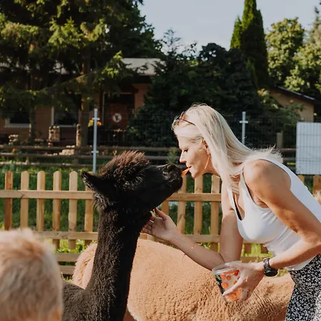 Zacisze Dom Comfort 70m2 * Ulinia