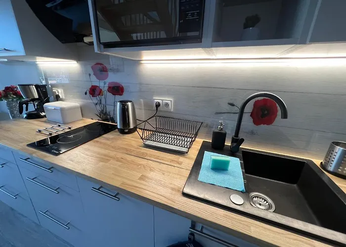 Semesterbostad Zacisze Dom Comfort 70m2 Ulinia