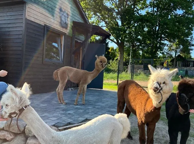 Zacisze Dom Comfort 70m2 * Ulinia