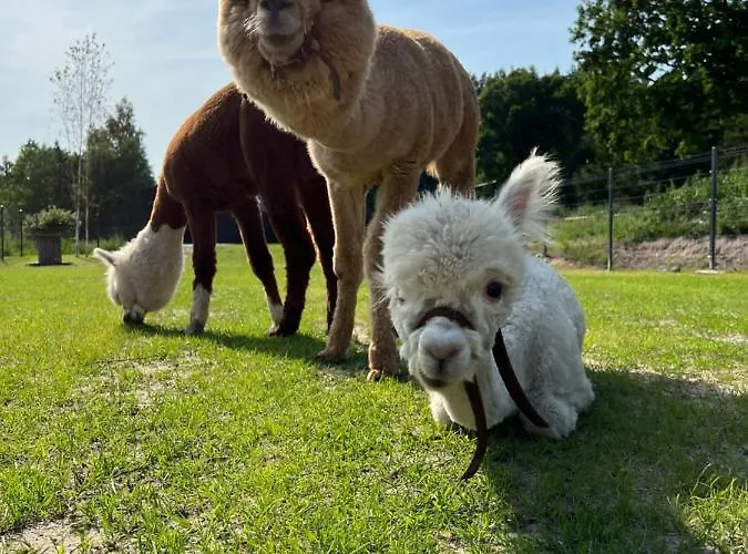 Semesterbostad Zacisze Dom Comfort 70m2 *