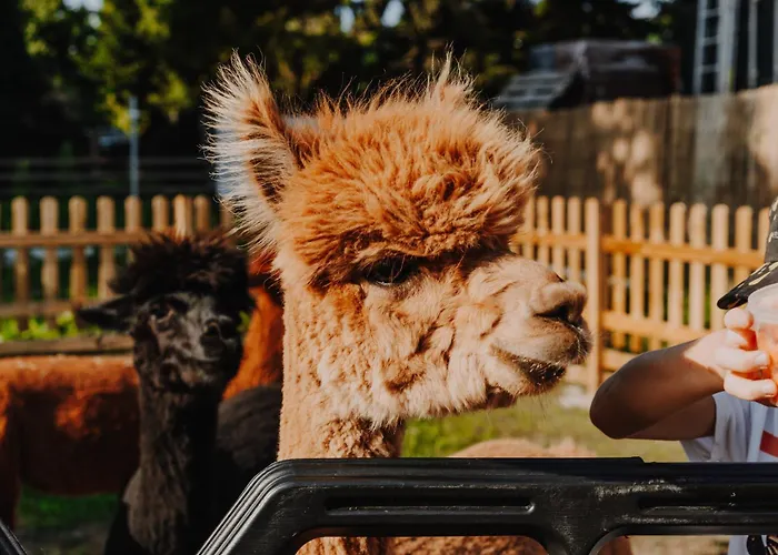 Дом отдыха Zacisze Dom Comfort 70m2 *