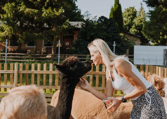 Zacisze Dom Comfort 70m2 * Ulinia